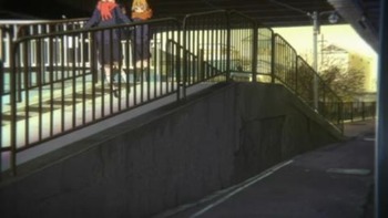 藤1 (12)