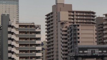 月がきれい 221