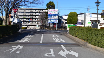 ろこどる 100
