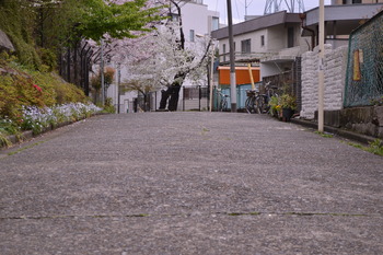 秒5 132