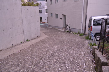 秒5 164