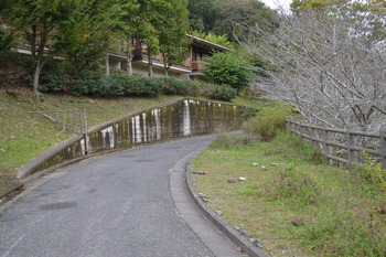 響けユーフォニアム2 231