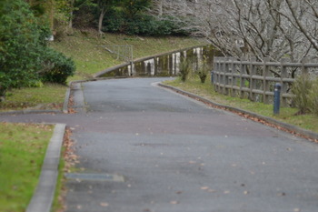 響けユーフォニアム2 229