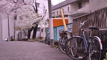 秒5 129