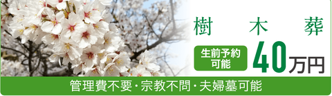 コメント 2020-05-29 105618