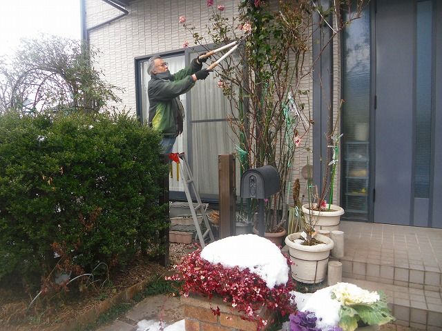 イメージ 1