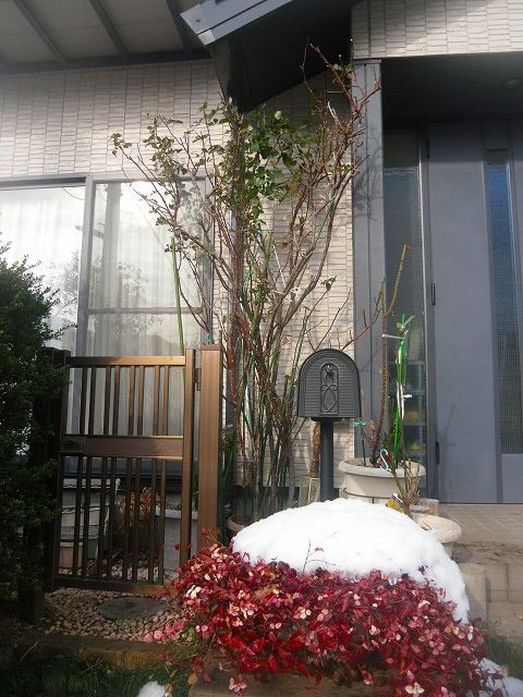 イメージ 2