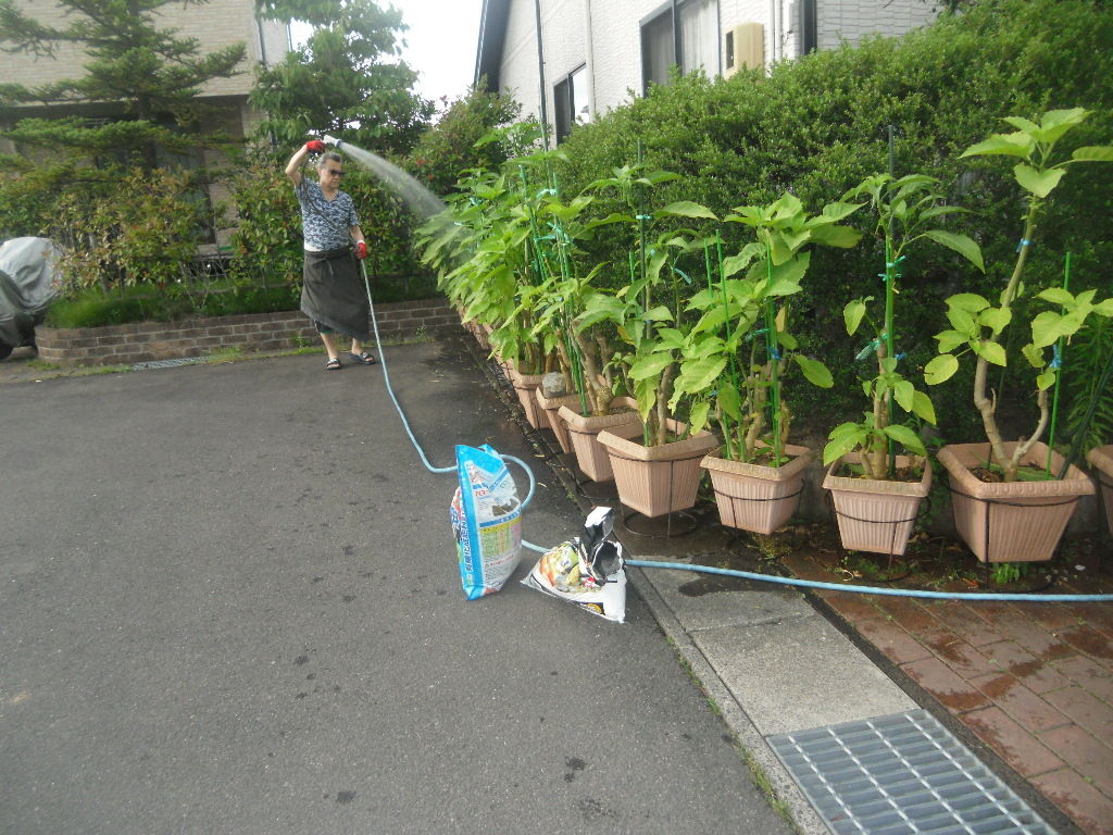 イメージ 1