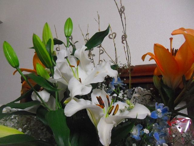 イメージ 4
