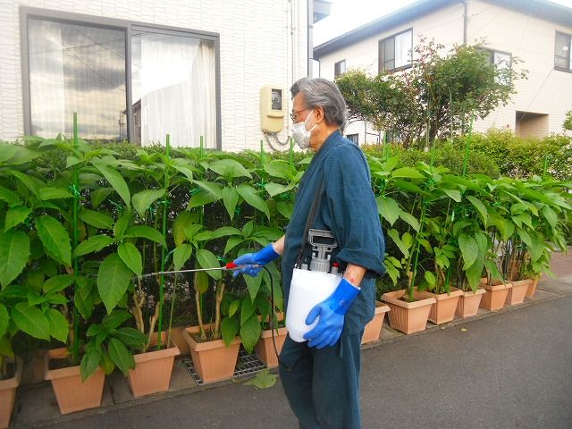 イメージ 2