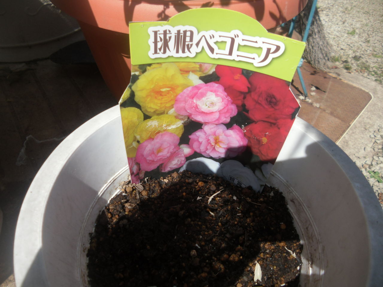 イメージ 1