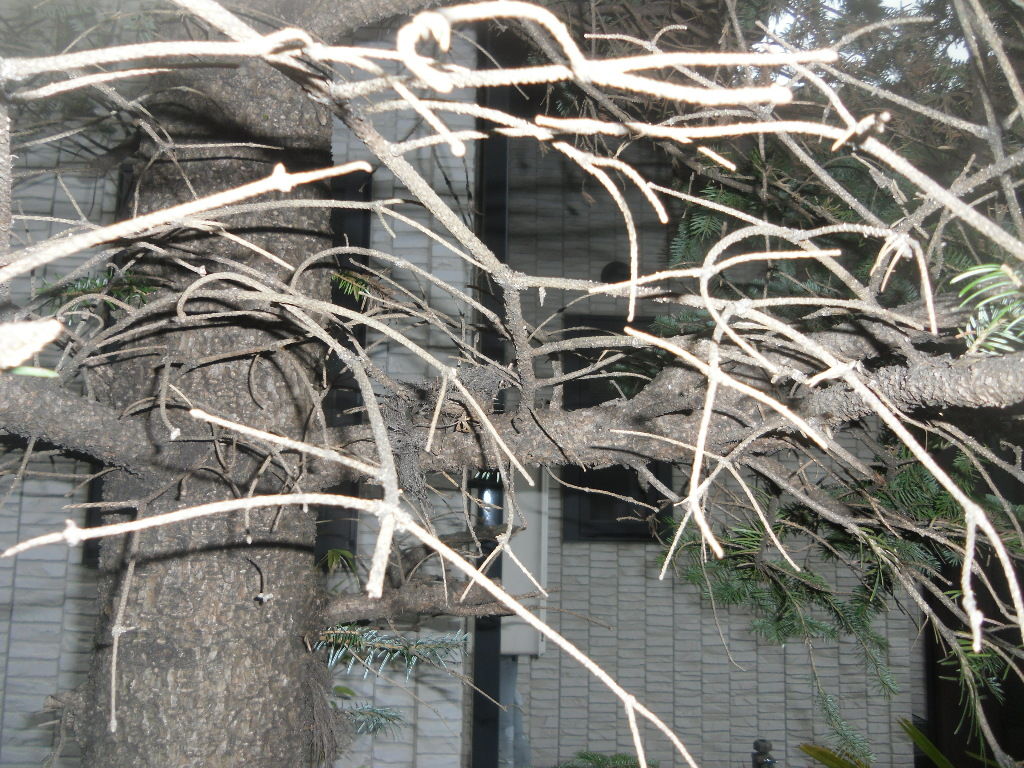 イメージ 4