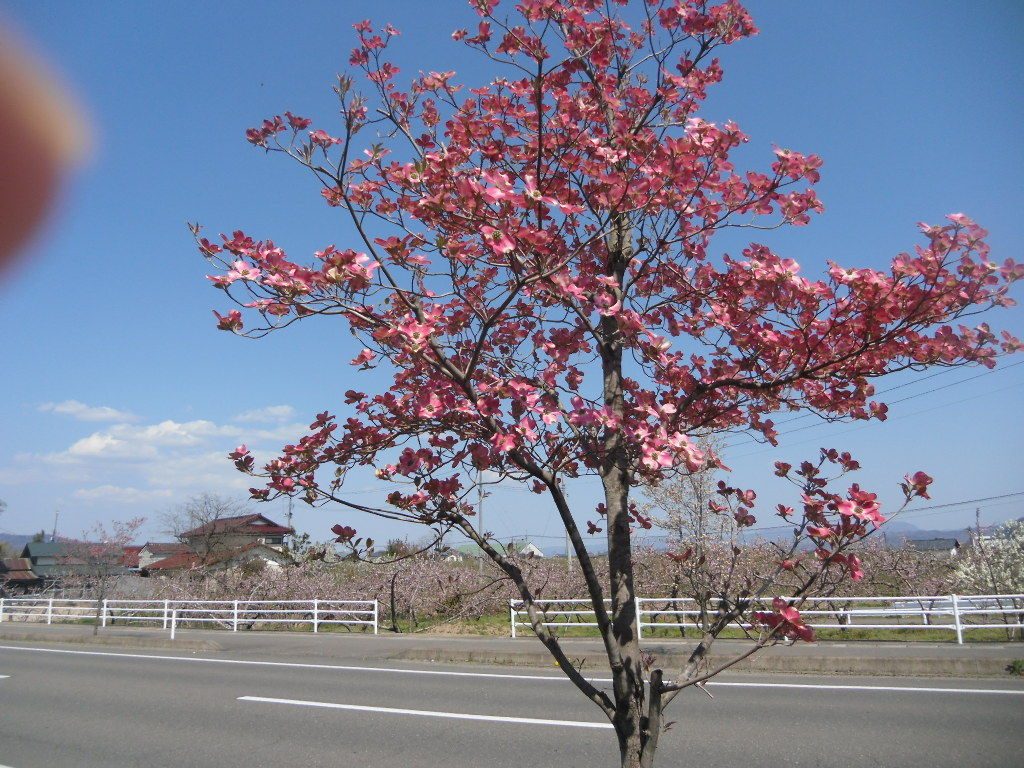 イメージ 3