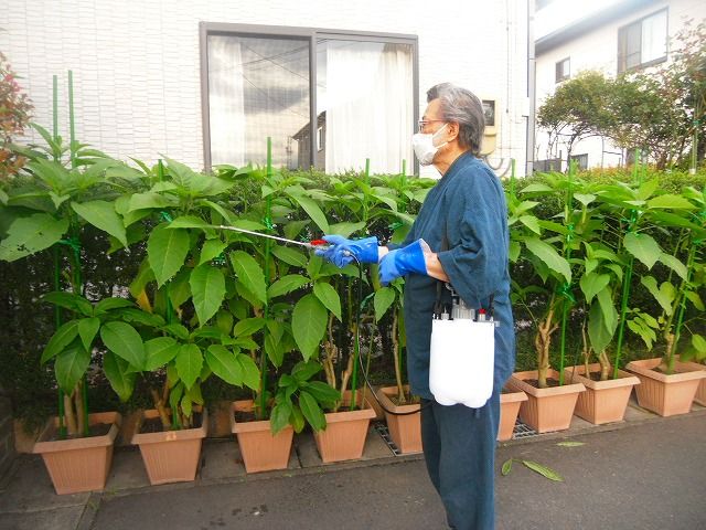 イメージ 1