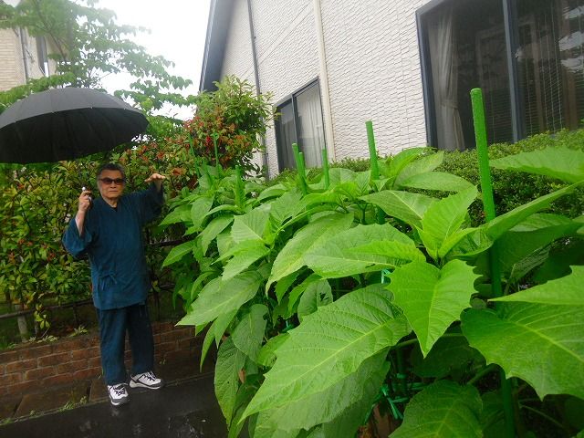 イメージ 1