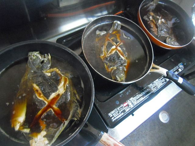 イメージ 7