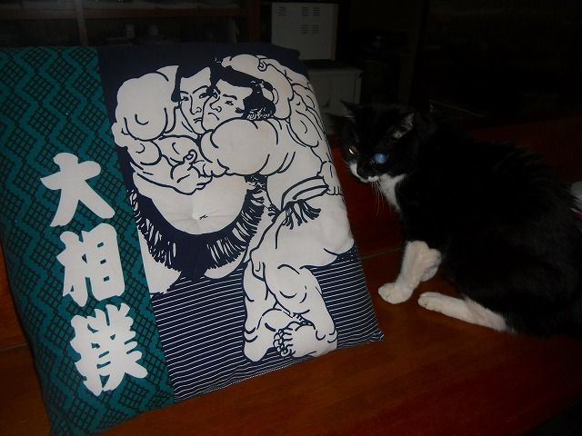 イメージ 4