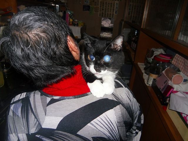 イメージ 2