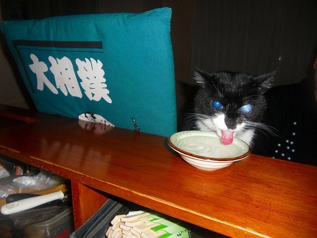 イメージ 5