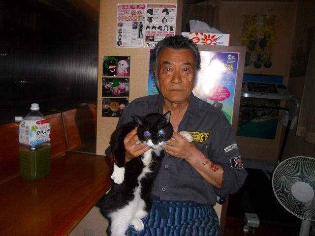 イメージ 1