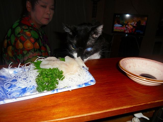 イメージ 5