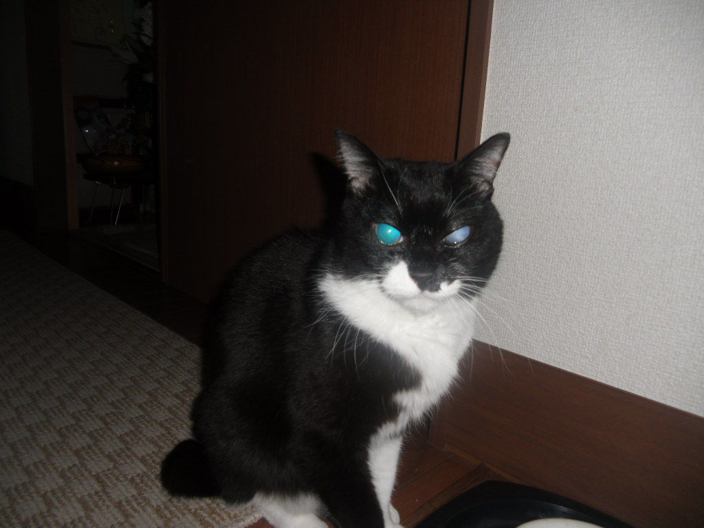イメージ 1