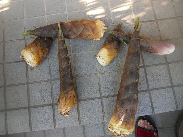 イメージ 1