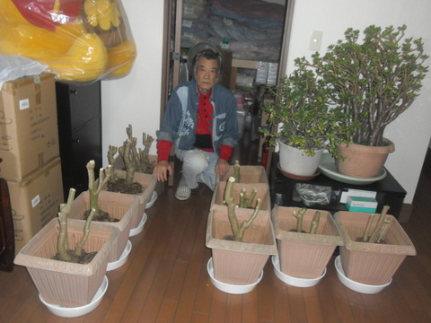 CIMG0743