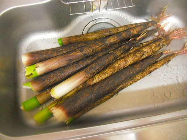 イメージ 1
