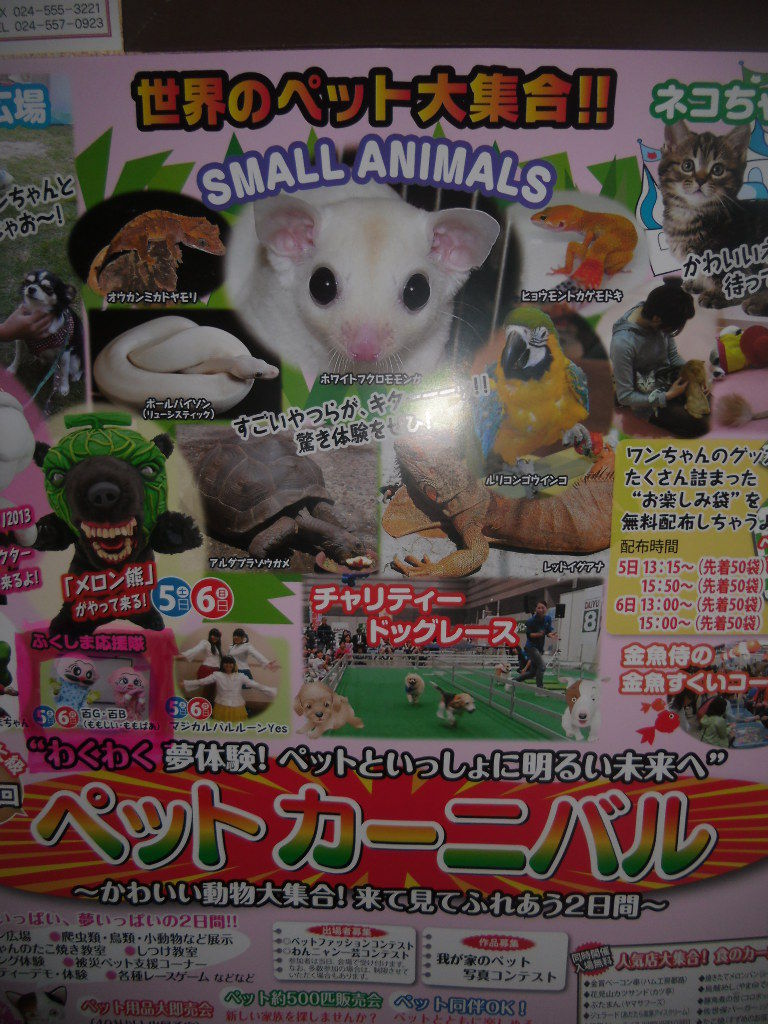 イメージ 1
