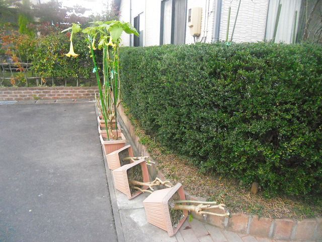 イメージ 1