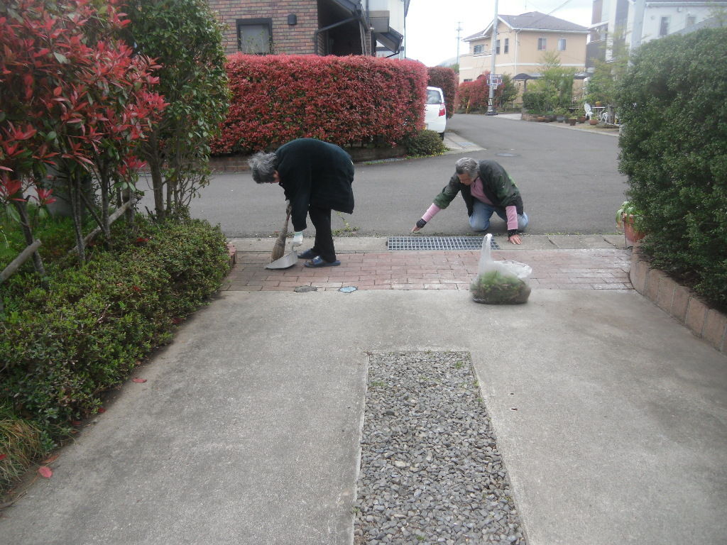 イメージ 1