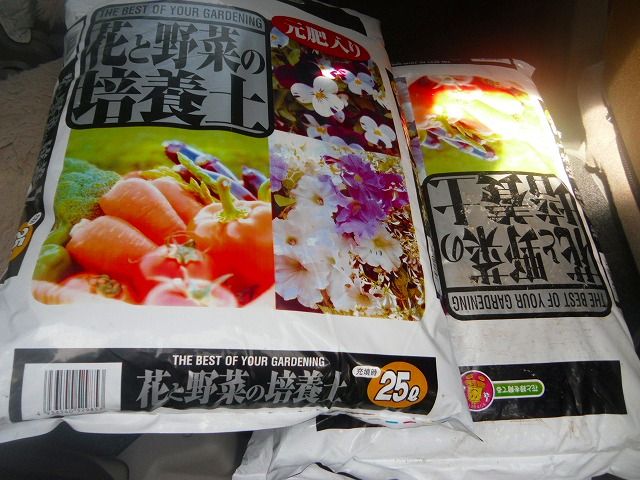 イメージ 3
