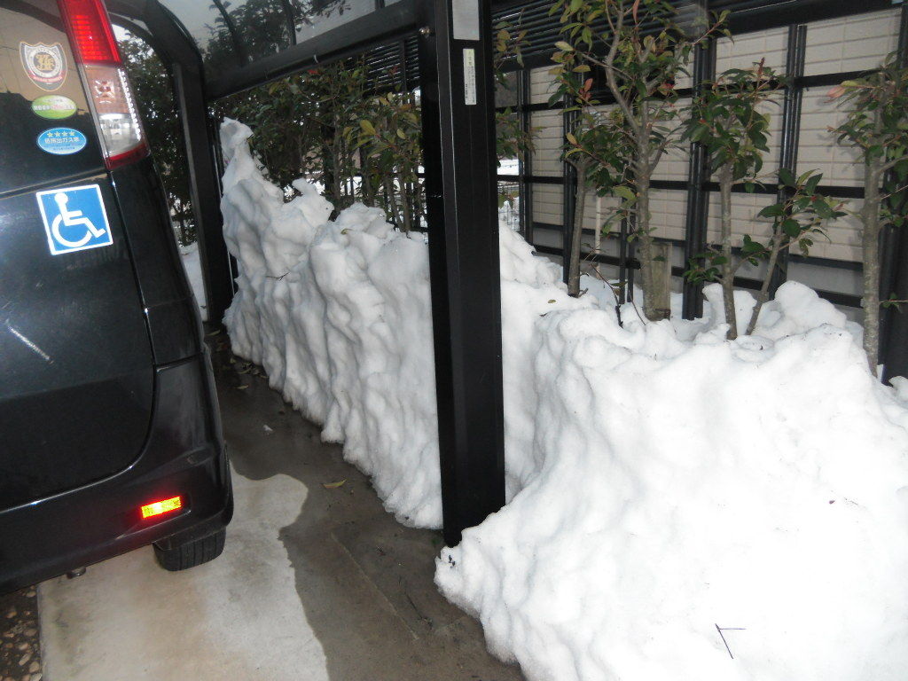 イメージ 2