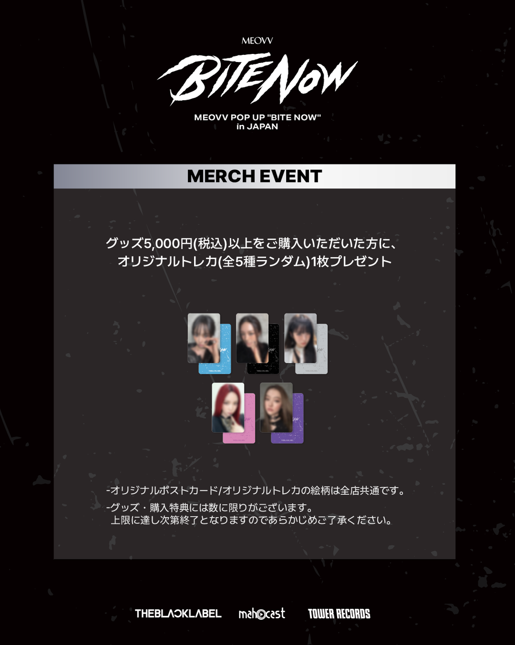 MEOVV 日本　ポップアップ　購入特典　6枚 MEOVV POP UP 