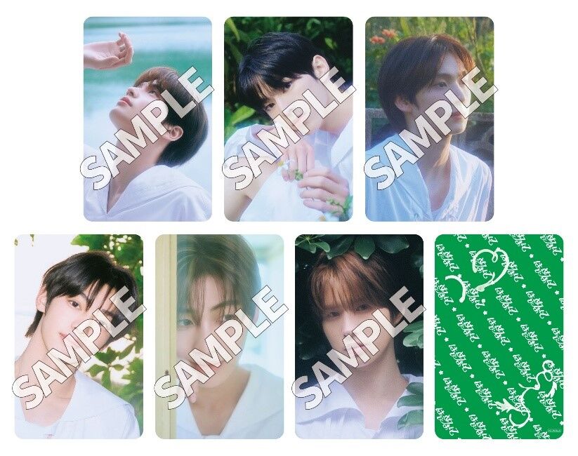 TWS はじめまして タワレコ パネル 当選品 非売品 TWS Japan 1st Single「はじめまして」発売記念キャンペーン実施