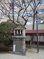 DSCN6214