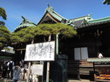 DSCN6273
