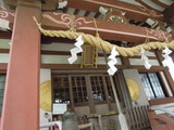 DSCN6362