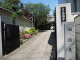 DSCN6310