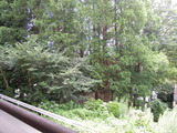 DSCN6390