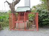 DSCN6458