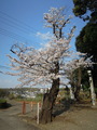 DSCN6261