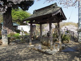 DSCN6238