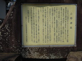 DSCN6247