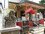 DSCN6324