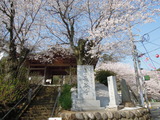 DSCN6226