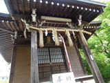 DSCN6369