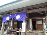 DSCN6429
