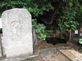 DSCN6374